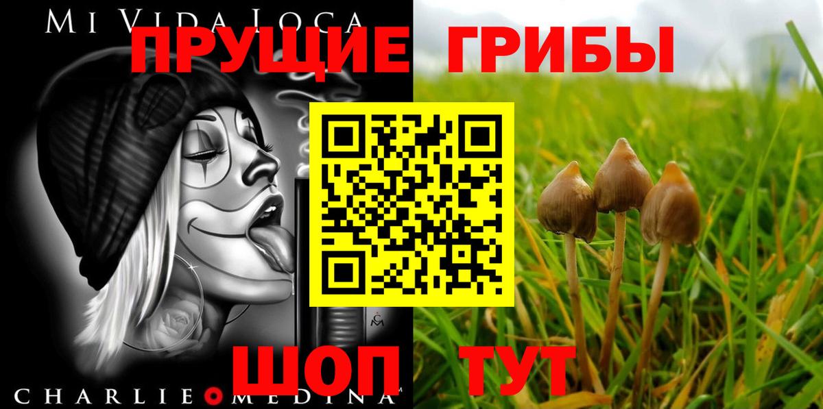 Нальчик  купить наркотик  Вход с VPN  Галлюциногенные грибы ЛСД 